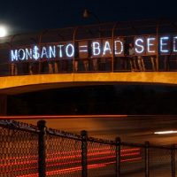 Monsanto, EPA Seek to Keep Talks Secret on Glyphosate Cancer Review