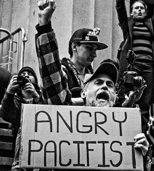 Anger and Political Culture: A Time for Outrage!