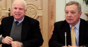 Warmonger is back : McCain to Obama: Send arms to Ukraine