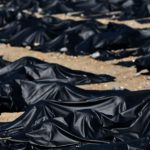 Pentagon Confirms It’s Seeking 100,000 Body Bags in Virus Crisis