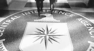 Huge Population of CIA Agents in Ukraine Says German Expert