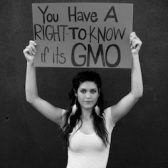 Ten Scientific Studies Prove that Genetically Modified Food Can Be Harmful To Human Health