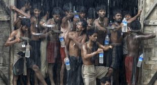 Hundreds died in Rohingya camps on Thai-Malaysia border