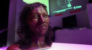 The first Britons were black, Natural History Museum DNA study reveals