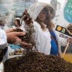 Rejecting Bayer Appeal, Top EU Court Upholds Ban on Bee-Killing Pesticides