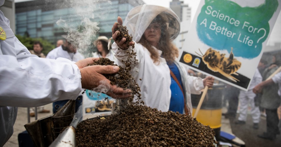 Rejecting Bayer Appeal, Top EU Court Upholds Ban On Bee-Killing Pesticides