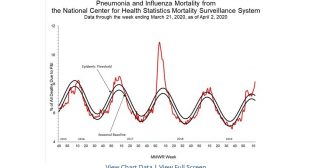 U.S. Will Cover-up Its Own Coronavirus Death Toll