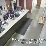 Video Shows Police Laughing at Footage of Arrest of Woman With Dementia