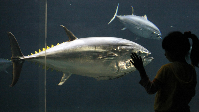 Deepwater Horizon oil spill cause fatal heart defects in tuna