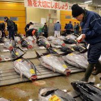 Radiation level in tuna off Oregon coast tripled after Fukushima disaster