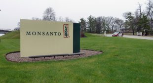 US pressures El Salvador to buy Monsanto’s GMO seeds